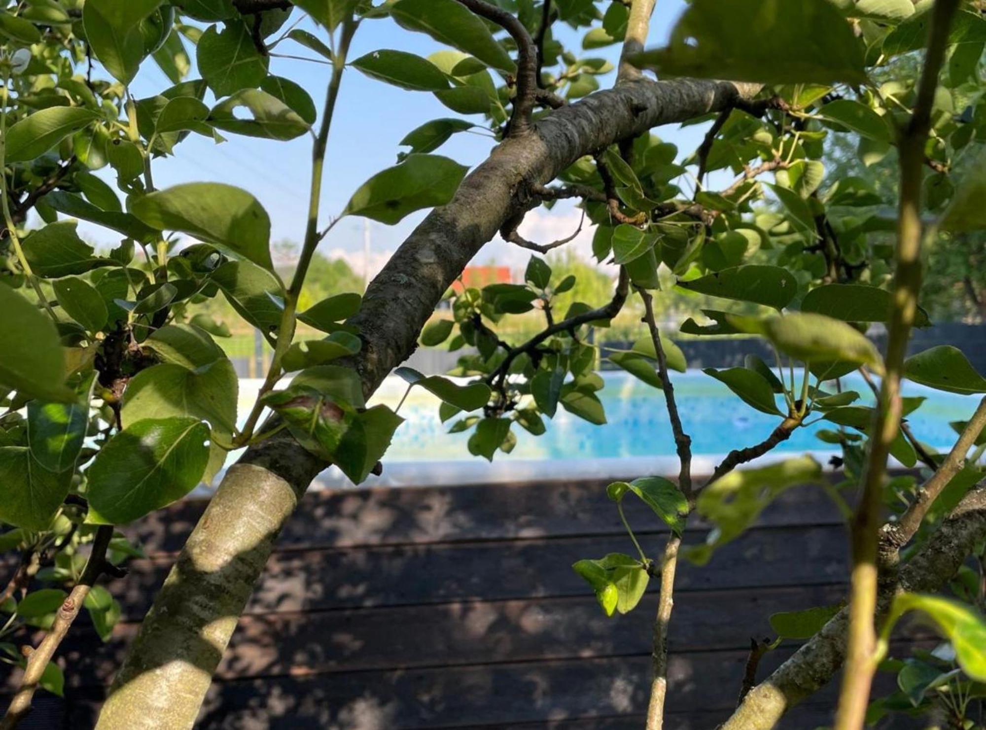 Tetina Kuca Villa Saborsko Buitenkant foto